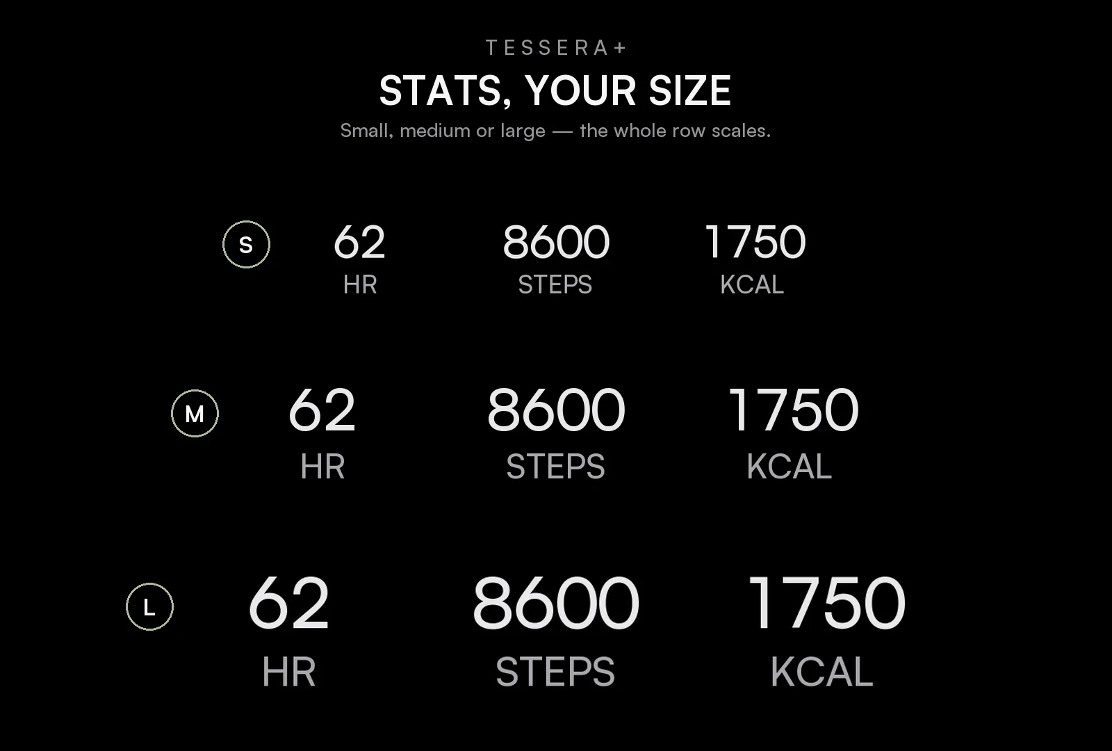 Tessera+ stat sizes: S, M and the new large L